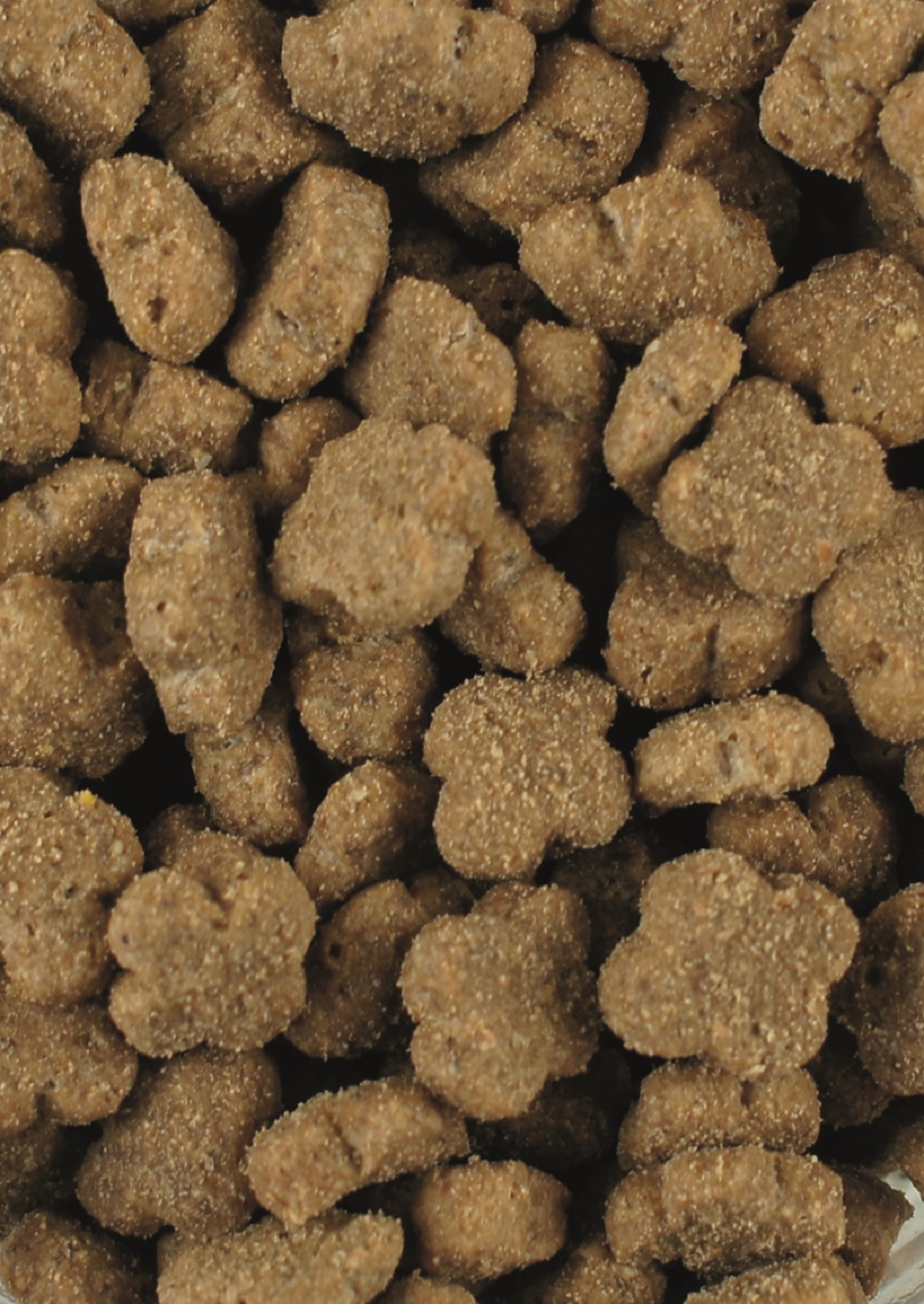 Hundekekse Braune, knusprige Hundekekse in verschiedenen Formen.