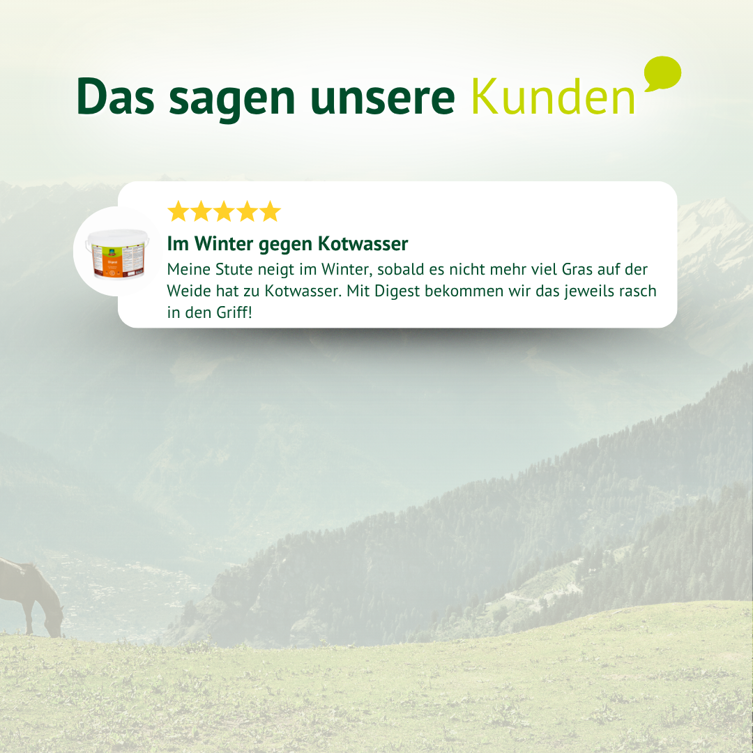 Kundenstimmen zum Verdauungsfutter für Pferde – bessere Verdauung, weniger Probleme und hohe Akzeptanz