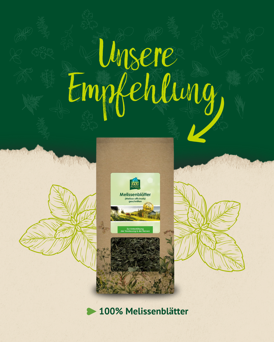 Produktempfehlung für getrocknete Melissenblätter von LEXA mit Produktbild, grüner Gestaltung und Hinweis auf 100 Prozent Melissenblätter.