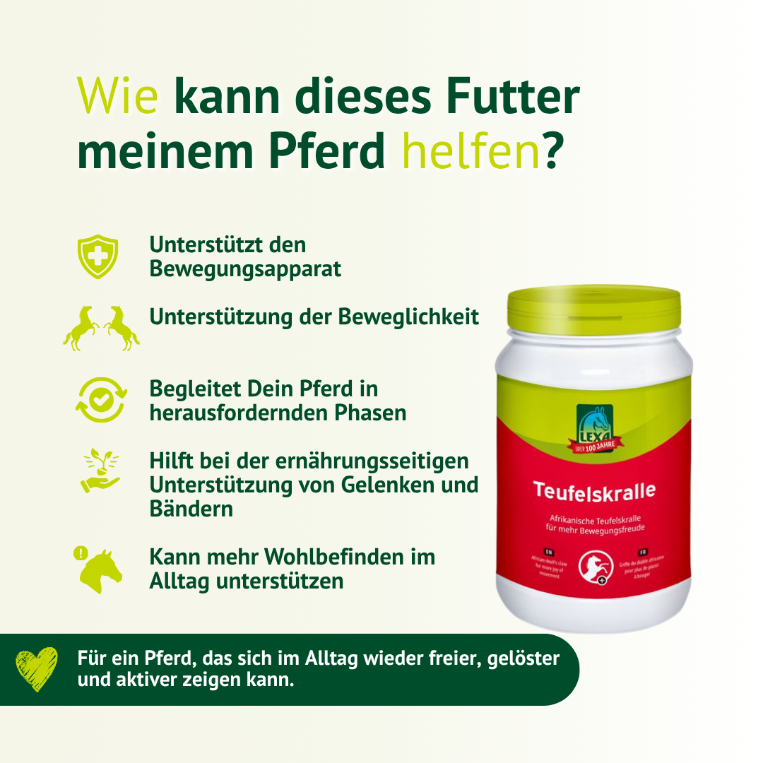 Infografik zu LEXA Teufelskralle mit Vorteilen wie Unterstützung des Bewegungsapparats, der Beweglichkeit und des Wohlbefindens im Alltag.