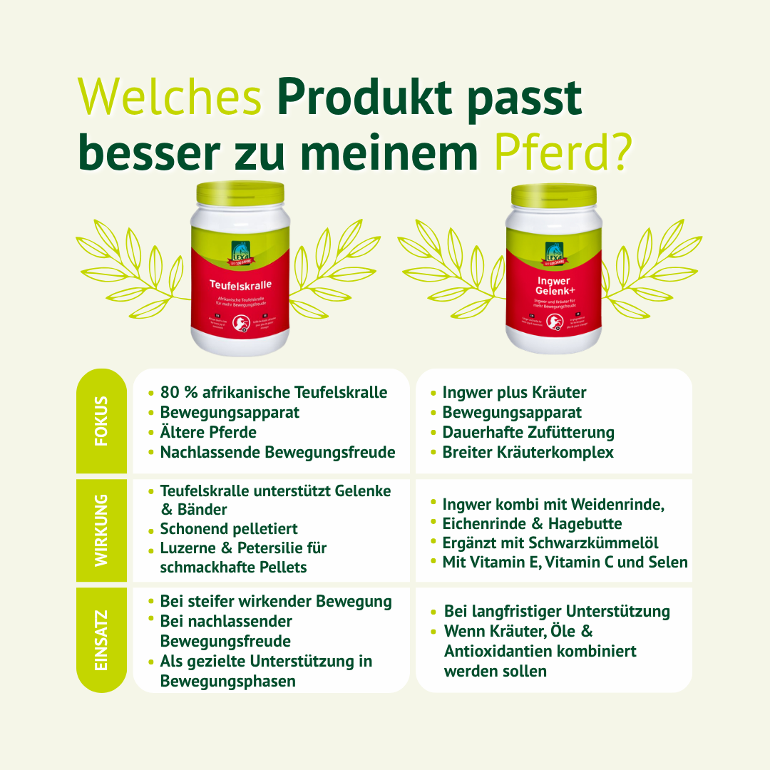 Produktvergleich zwischen LEXA Teufelskralle und einem weiteren Ergänzungsfutter zur Unterstützung von Bewegungsapparat, Gelenken und Beweglichkeit beim Pferd.