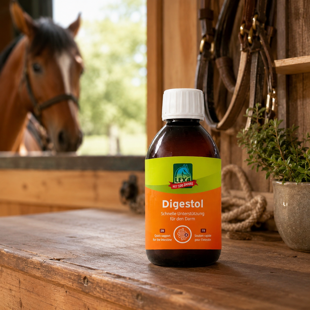 Flasche LEXA Digestol auf einem Holztisch im Stall mit Pferd im Hintergrund.