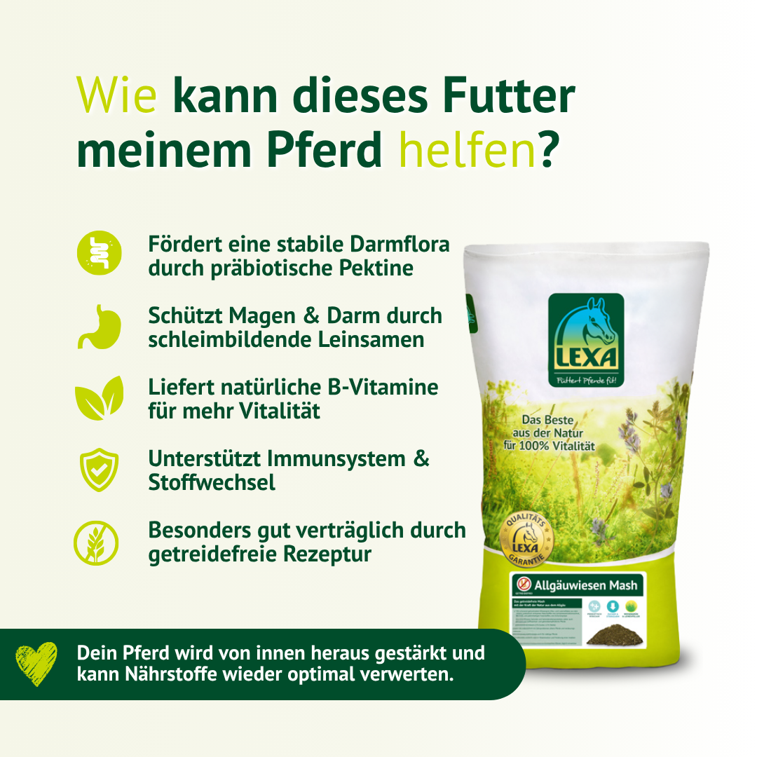 Verdauungsförderndes Mash für Pferde stärkt Darmflora, Immunsystem und Vitalität