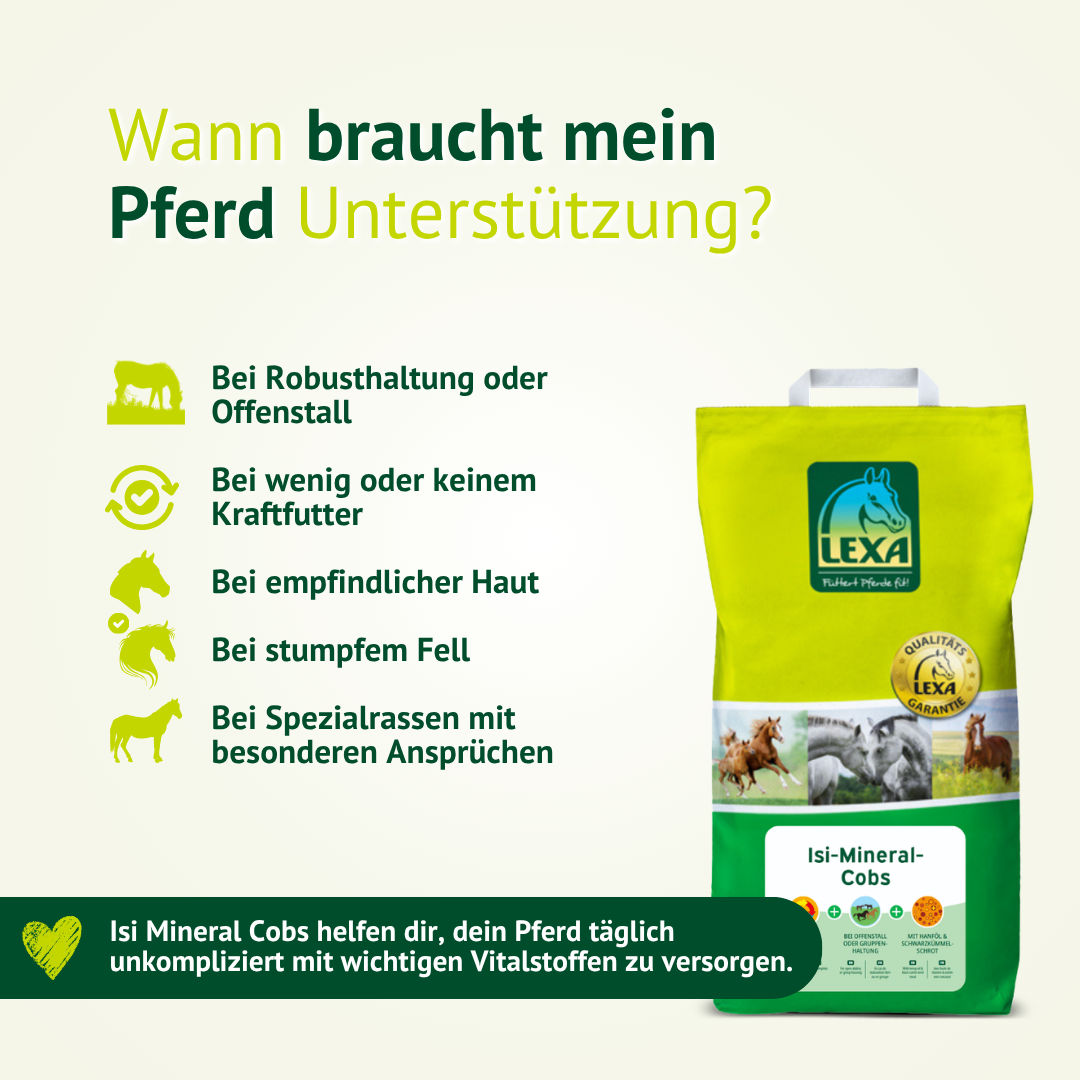 Übersicht, wann ein Pferd Unterstützung durch Isi-Mineral-Cobs braucht, zum Beispiel bei Robusthaltung, wenig Kraftfutter, empfindlicher Haut oder stumpfem Fell.