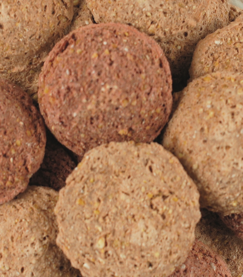 Vollkornbrötchen Eine Ansammlung von runden, braunen Brötchen aus Vollkornmehl, einige mit einer dunkleren Kruste.