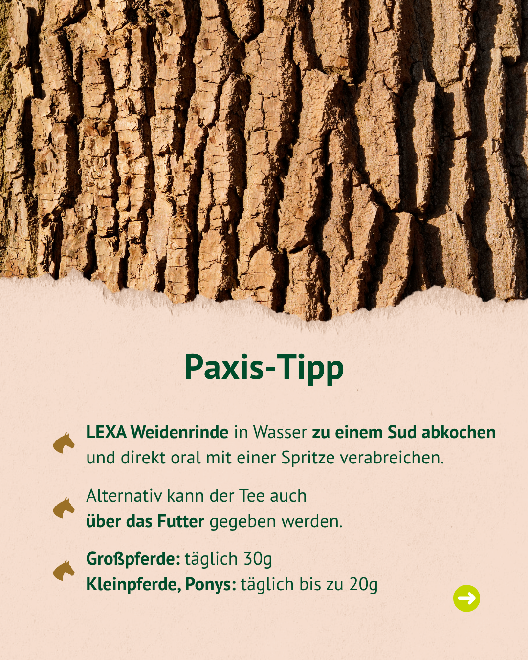 Nahaufnahme von brauner Weidenrinde mit unregelmäßiger, rissiger Oberfläche. Darunter Text mit dem Titel 'Paxis-Tipp' und Anwendungshinweisen zu LEXA Weidenrinde für Pferde.