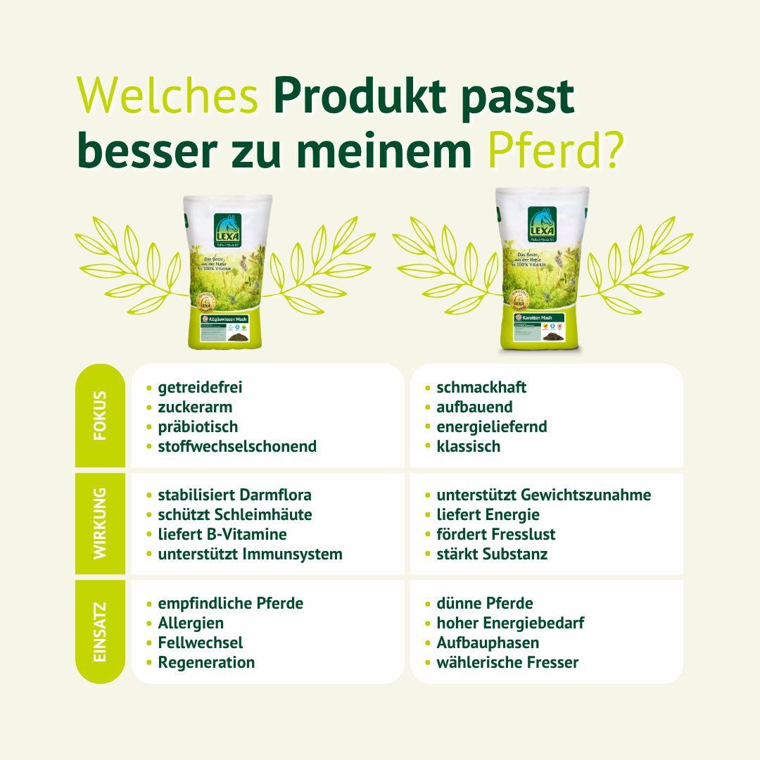 Vergleich von Pferdefutter: getreidefreies Mash vs. klassisches Aufbaufutter für unterschiedliche Bedürfnisse