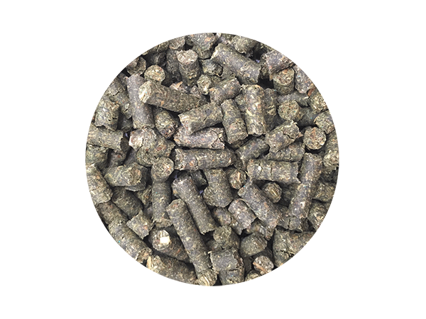 Pflanzliche Pellets Grüne Pellets aus pflanzlichem Material, dicht gepackt und in runder Form angeordnet.