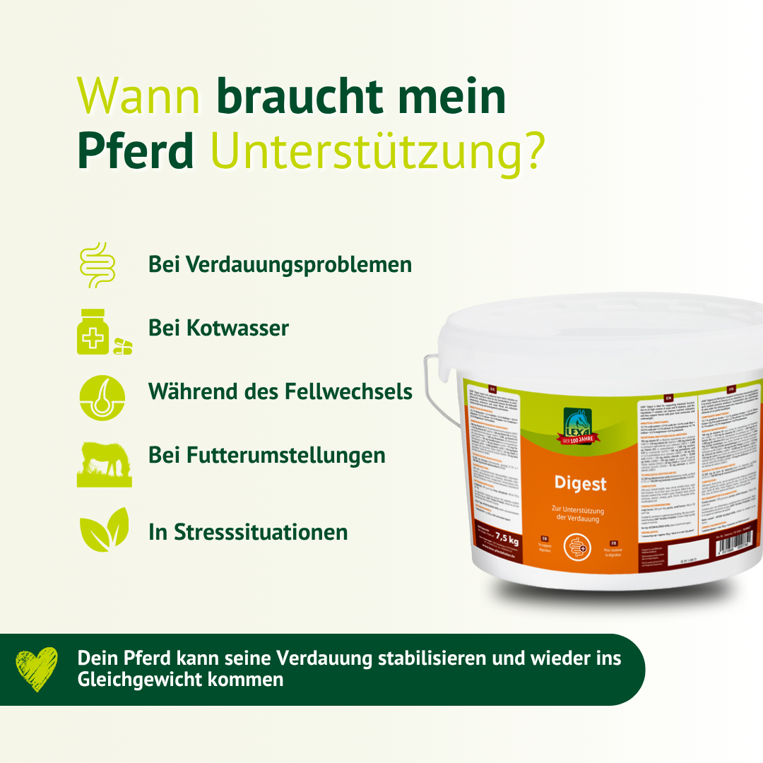 Ergänzungsfutter für empfindliche Pferdemägen – ideal bei Verdauungsproblemen und Futterumstellung