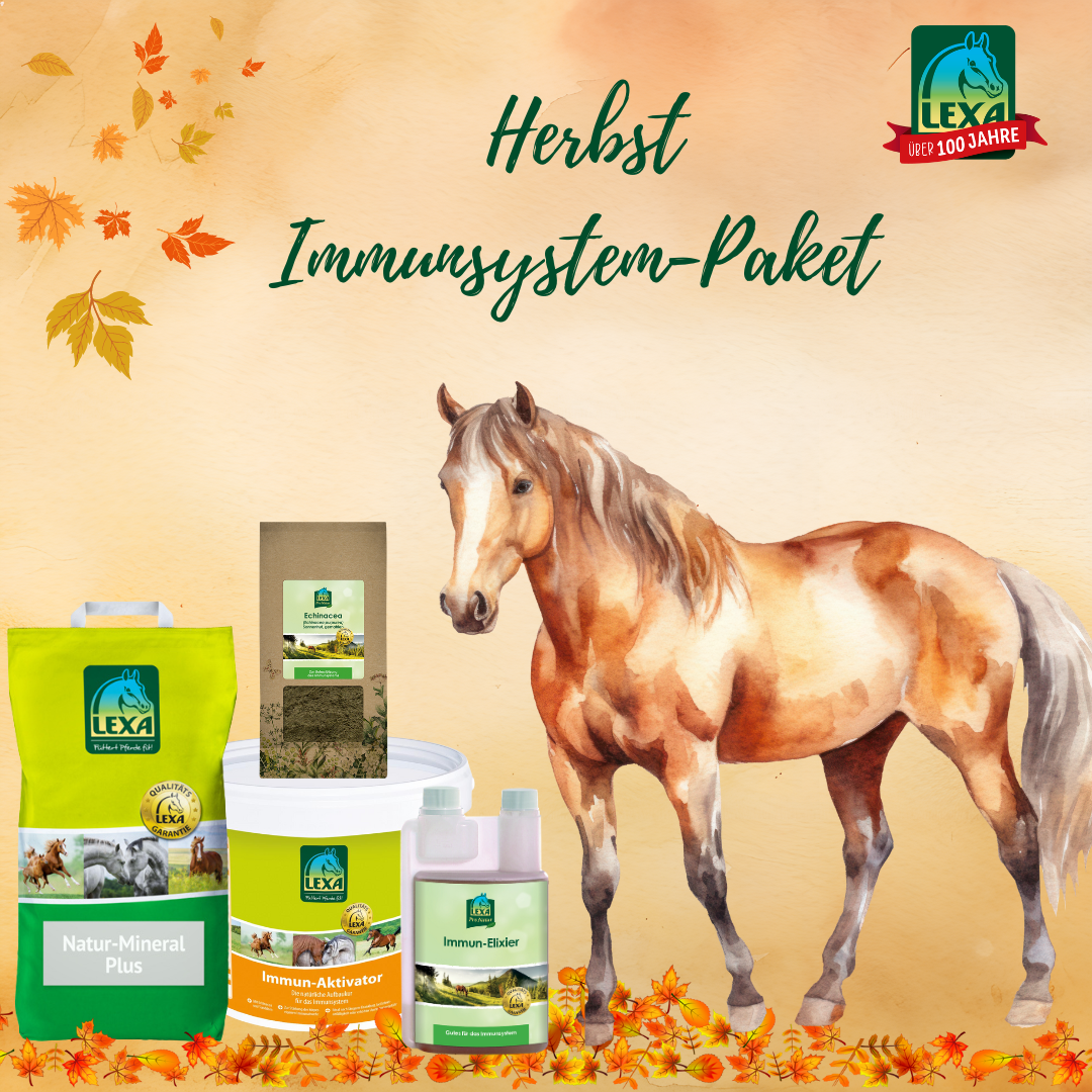 Herbst Immunpaket für Pferde von LEXA Herbst Immunpaket von LEXA, bestehend aus verschiedenen Produkten zur Unterstützung des Immunsystems von Pferden, mit einem Pferd im Vordergrund.