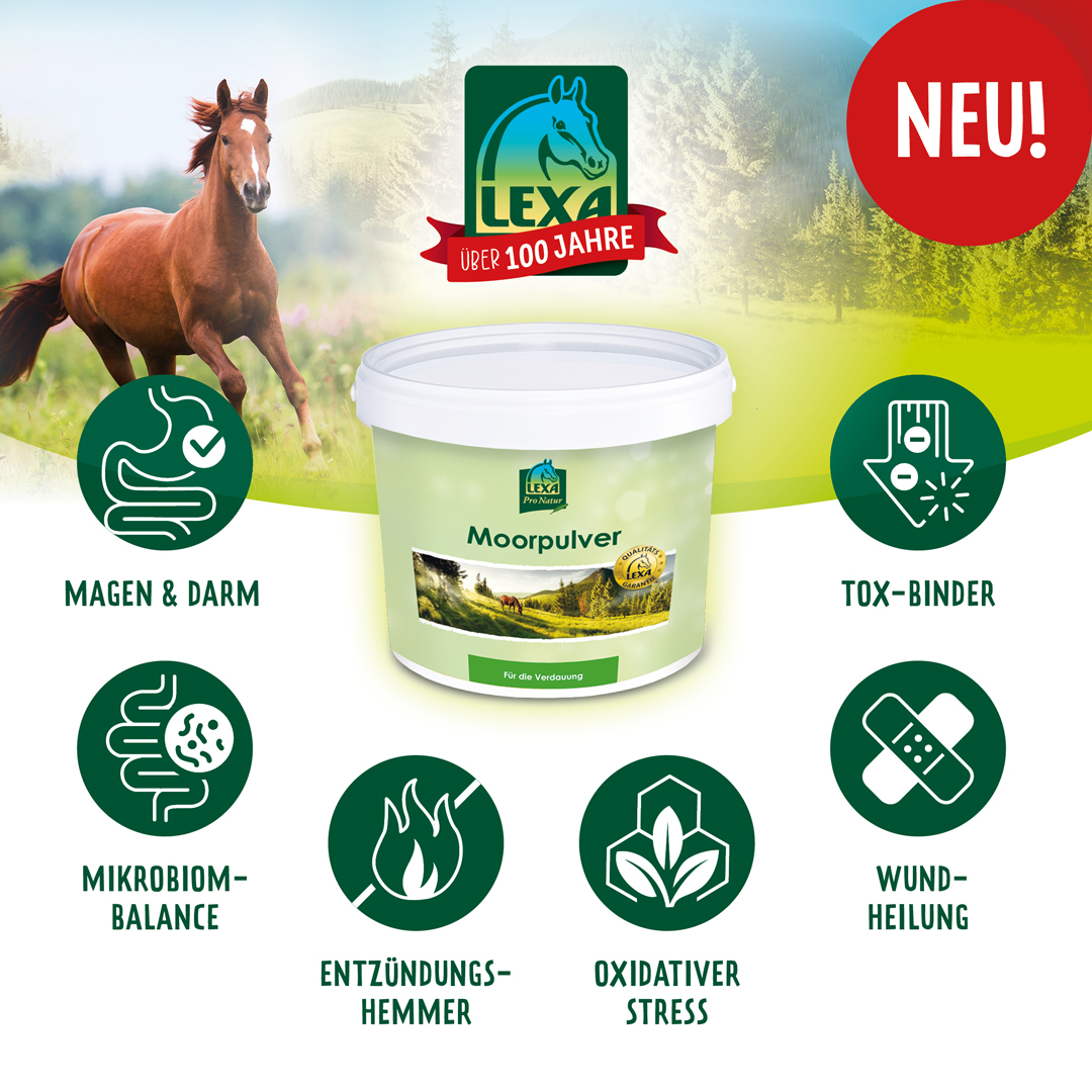 LEXA Moorpulver für Pferde Eimer mit LEXA Moorpulver für Pferde, betont Vorteile wie Magen & Darm, Mikrobiom-Balance, Entzündungshemmer, und Wundheilung.