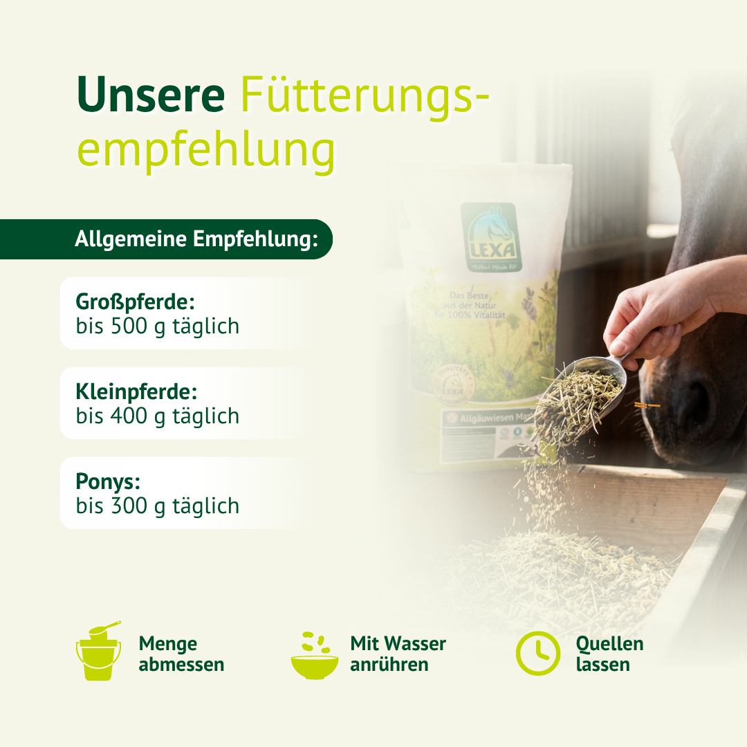 Fütterungsempfehlung für Pferdemash inklusive Dosierung und Zubereitung mit Wasser