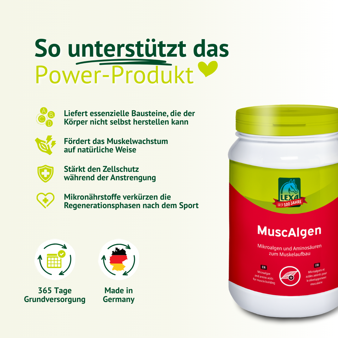 Produktdarstellung von LEXA MuscAlgen mit Übersicht zur abgestimmten Nährstoffkombination für aktive Pferde
