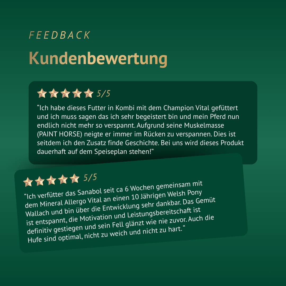 Kundenbewertungen zu ATCOM Sanabol mit Erfahrungsberichten zur verbesserten Muskulatur, Entspannung und Leistungsfähigkeit von Pferden