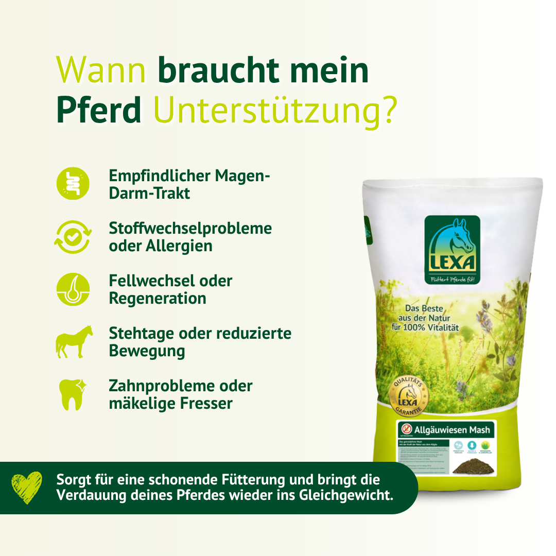 Pferdefutter für sensible Pferde bei Magen-Darm-Problemen, Fellwechsel oder Stoffwechselstörungen