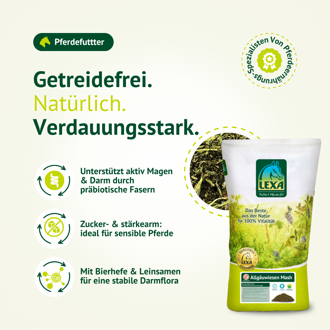 Getreidefreies Pferdemash mit präbiotischen Fasern für eine gesunde Verdauung und stabile Darmflora