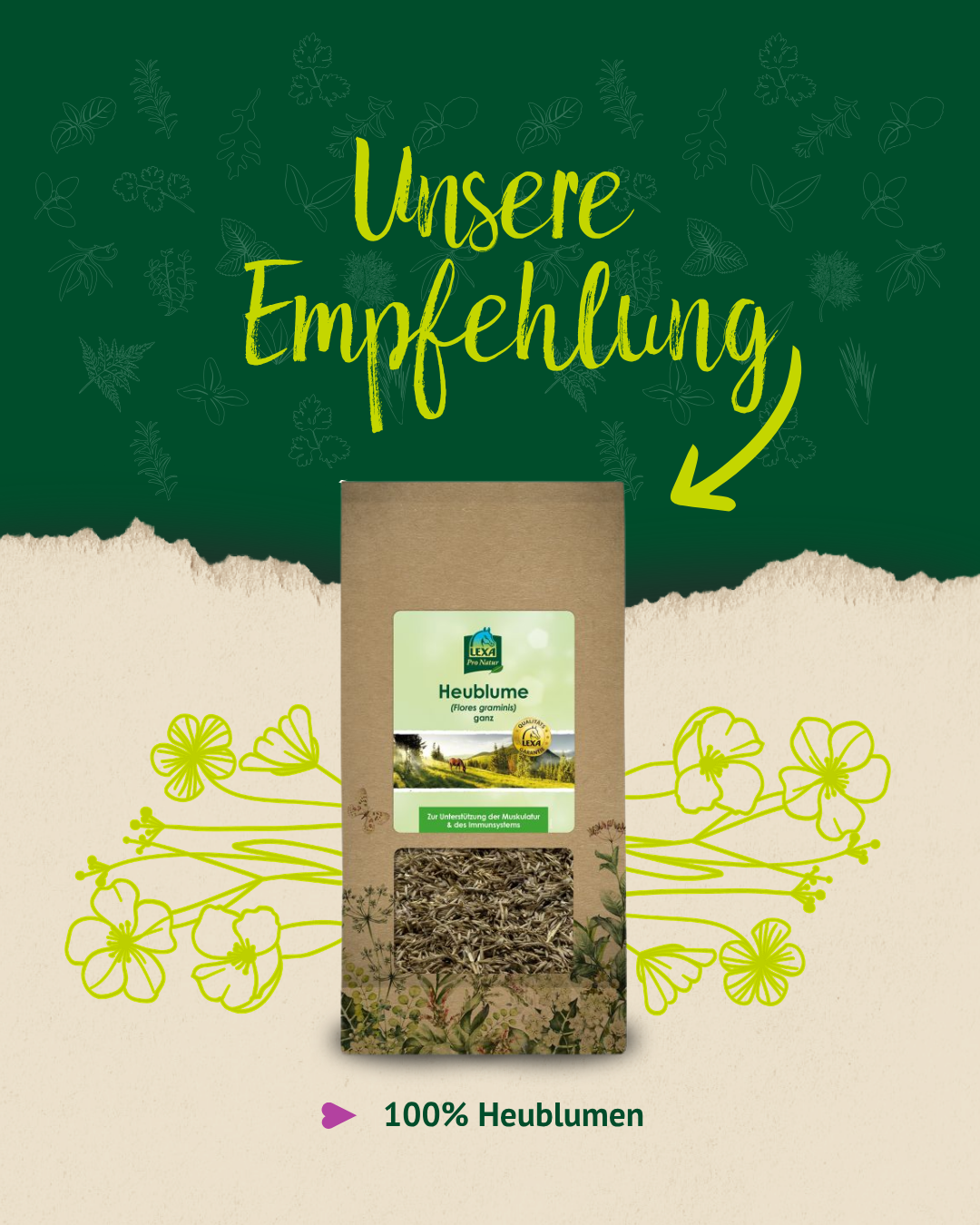 Produktempfehlung für Lexa Heublume mit Verpackung, floralen Illustrationen und dem Hinweis „100 % Heublumen“.