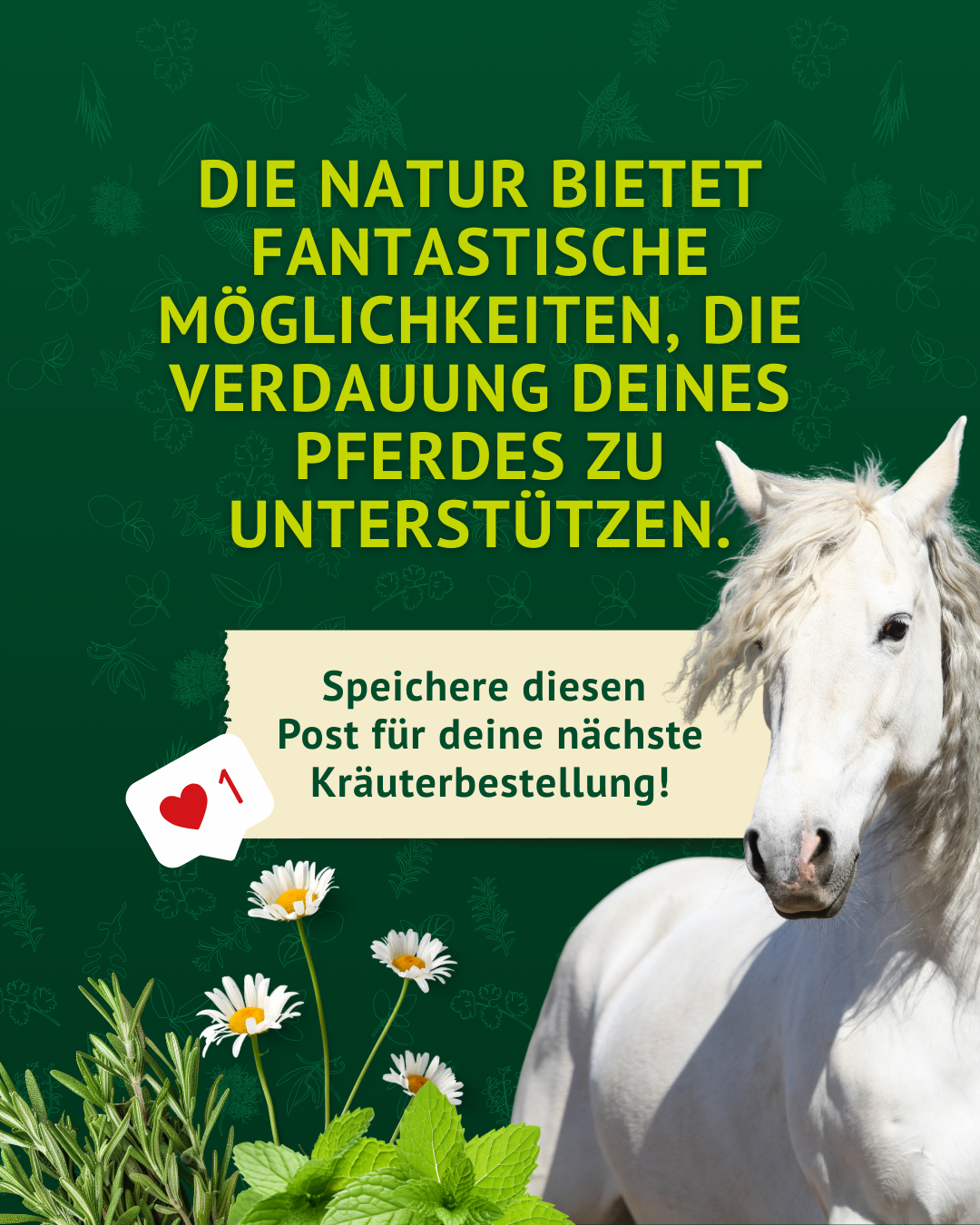 Ein weißes Pferd neben Kräutern mit dem Hinweis, den Post für die nächste Kräuterbestellung zu speichern.