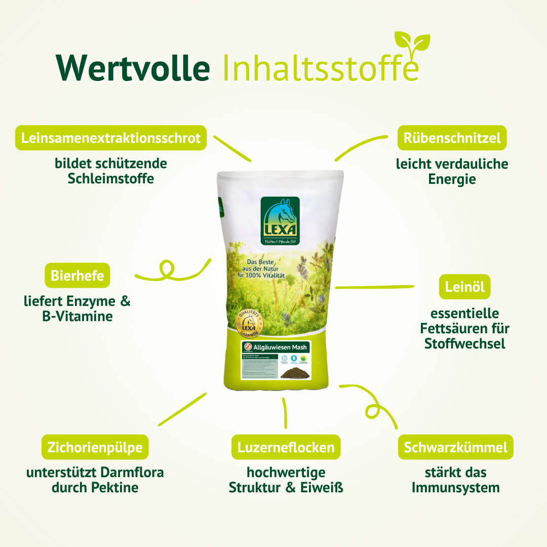 Pferdemash mit hochwertigen Zutaten wie Leinsamen, Bierhefe und Luzerne für optimale Versorgung