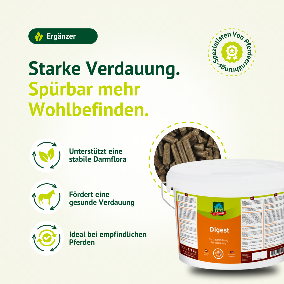 Verdauungsförderndes Ergänzungsfutter für Pferde – unterstützt Magen, Darm und eine gesunde Verdauung