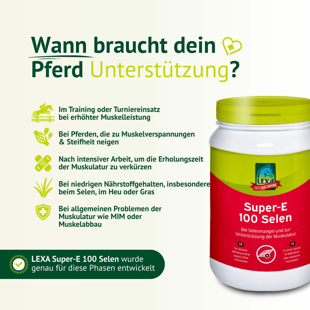 Infografik zu Einsatzbereichen von LEXA Super-E 100 Selen für Training, Turniere und Muskelbeanspruchung beim Pferd