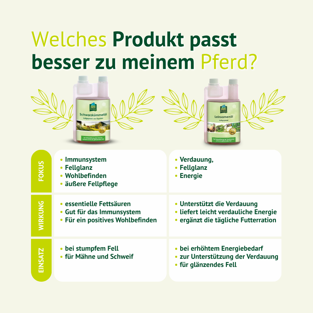 Vergleich Schwarzkümmelöl und Leinöl für Pferde – welches Öl passt besser für Immunsystem, Verdauung und Fellglanz