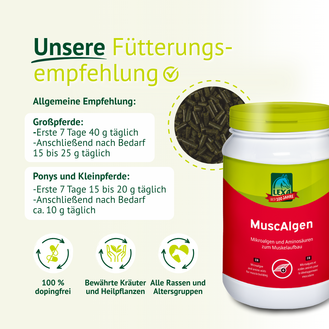 Fütterungsempfehlung für LEXA MuscAlgen Pellets mit Dosierangaben für Großpferde und Ponys