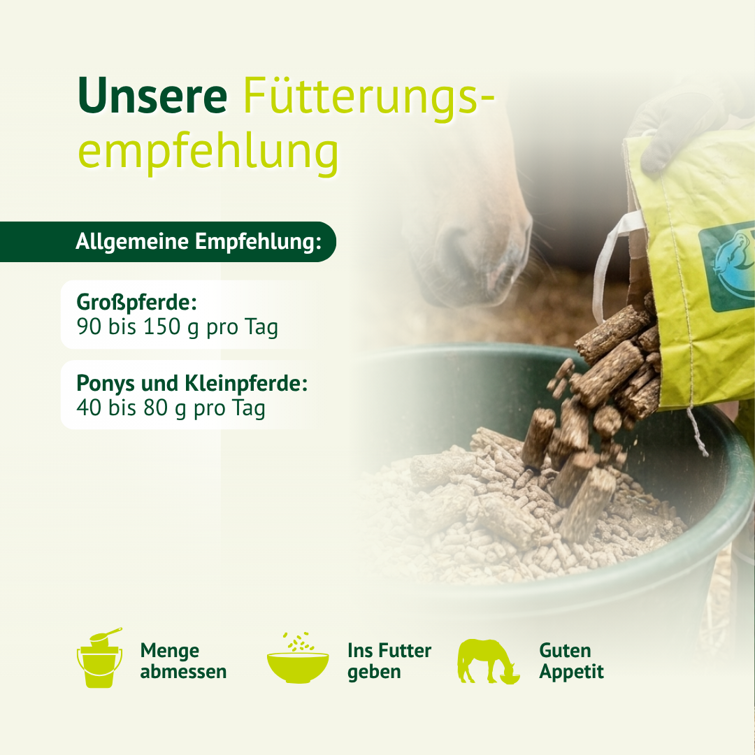 Fütterungsempfehlung für Mineralfutter beim Pferd – Dosierung für Großpferde, Ponys und Kleinpferde