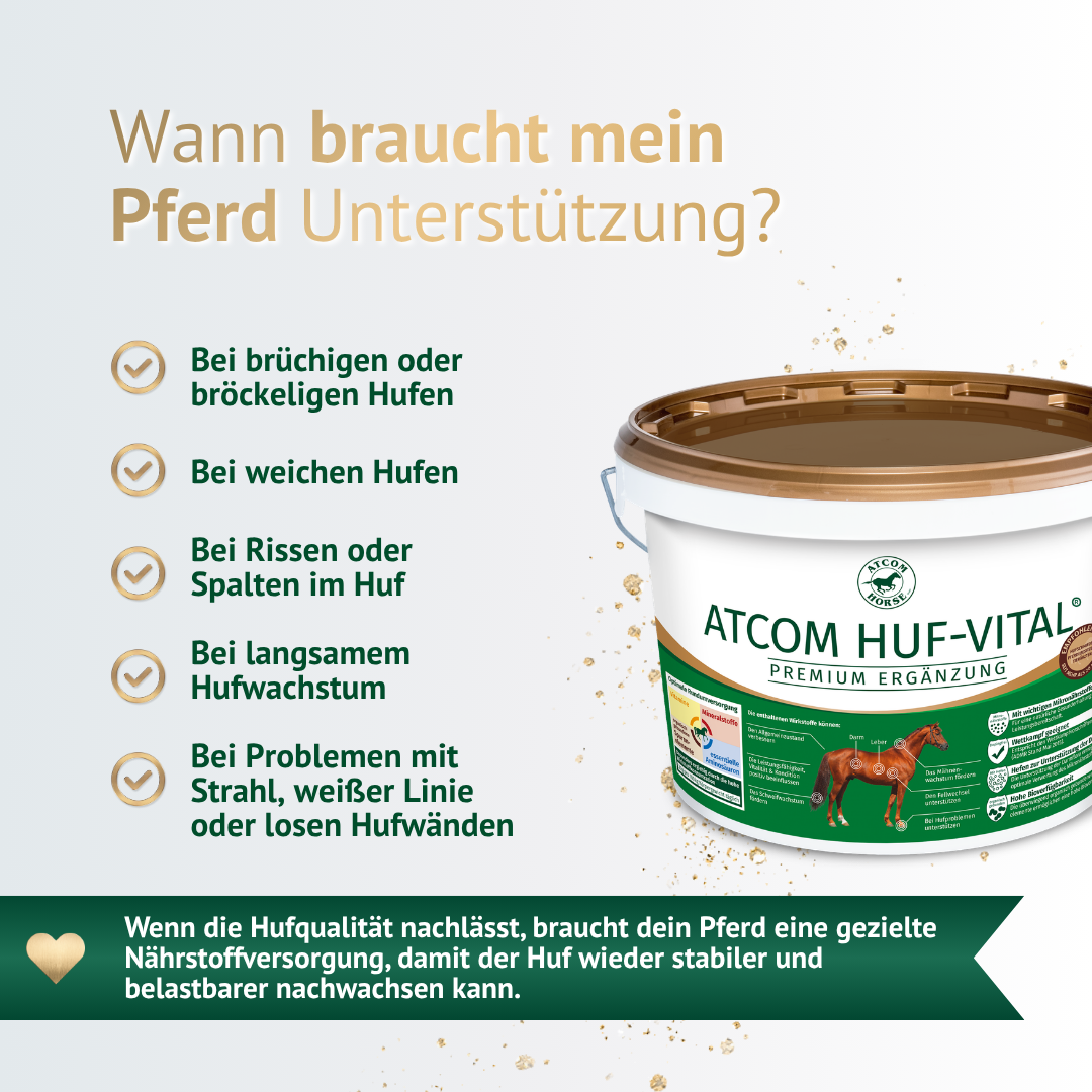 Wann braucht dein Pferd Unterstützung? ATCOM HUF-VITAL hilft bei brüchigen, weichen Hufen und Problemen wie Rissen oder Strahlfäule