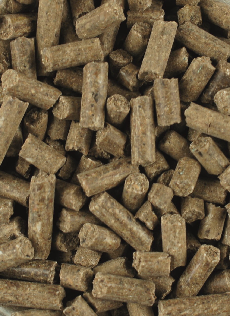 Braune, zylindrische Mineralfutter-Pellets für Pferde, grob gepresst Braune, zylindrische Mineralfutter-Pellets für Pferde, grob gepresst