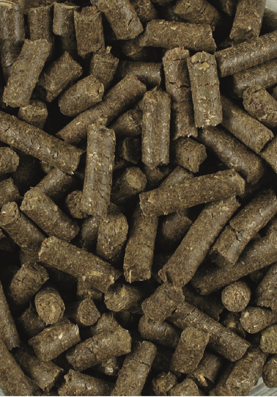 Tierfutterpellets Braune Tierfutterpellets in verschiedenen Formen und Größen, dicht gepackt.