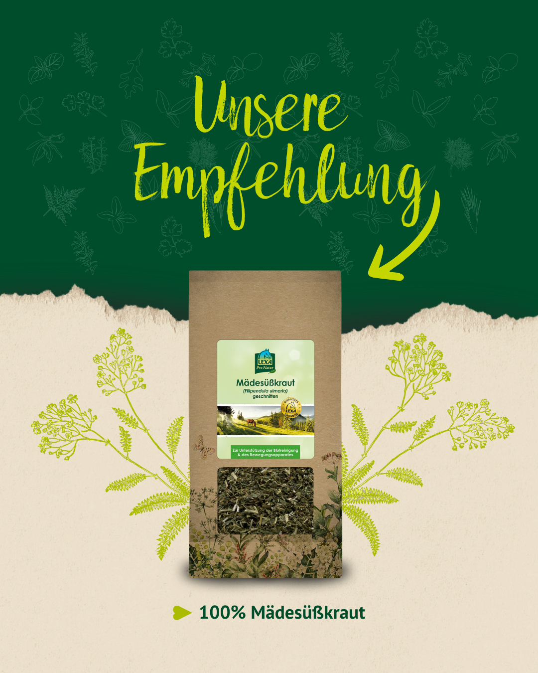 Produktempfehlung für 100 Prozent Mädesüßkraut mit Produktbeutel, Pflanzenillustrationen und grün-beigem Design.