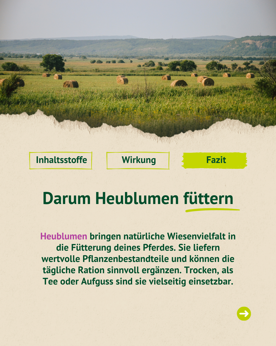 Landschaft mit Heuballen und Fazit, warum Heublumen die tägliche Fütterung von Pferden mit natürlicher Wiesenvielfalt ergänzen können.