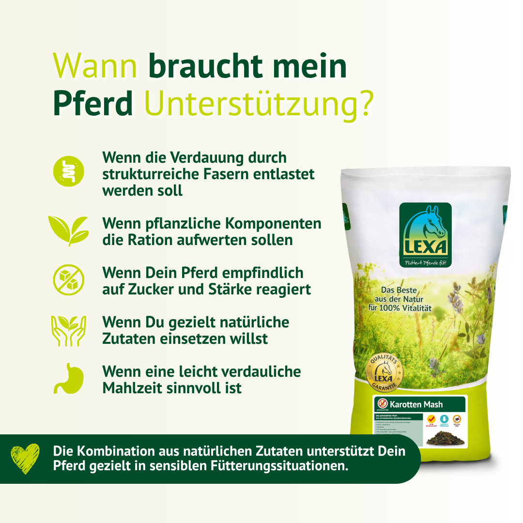 Wann dein Pferd Unterstützung braucht – Karotten Mash für empfindliche Verdauung und bewusste Fütterung