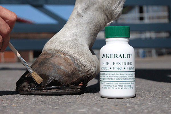 Hufpflege mit KERALIT HUF-FESTIGER Eine Hand trägt eine Pflegecreme auf den Huf eines Pferdes auf, daneben steht eine Flasche KERALIT HUF-FESTIGER.