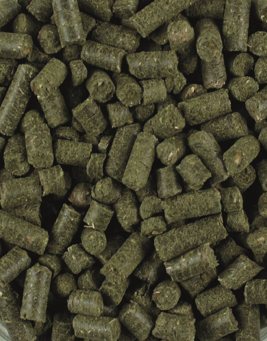 Grüne Futterpellets Grüne Pellets aus getrocknetem Gras oder Heu, gleichmäßig geformt und in verschiedenen Größen.