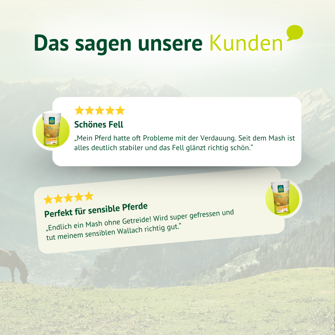 Kundenbewertungen zu Pferdemash mit Fokus auf bessere Verdauung und glänzendes Fell