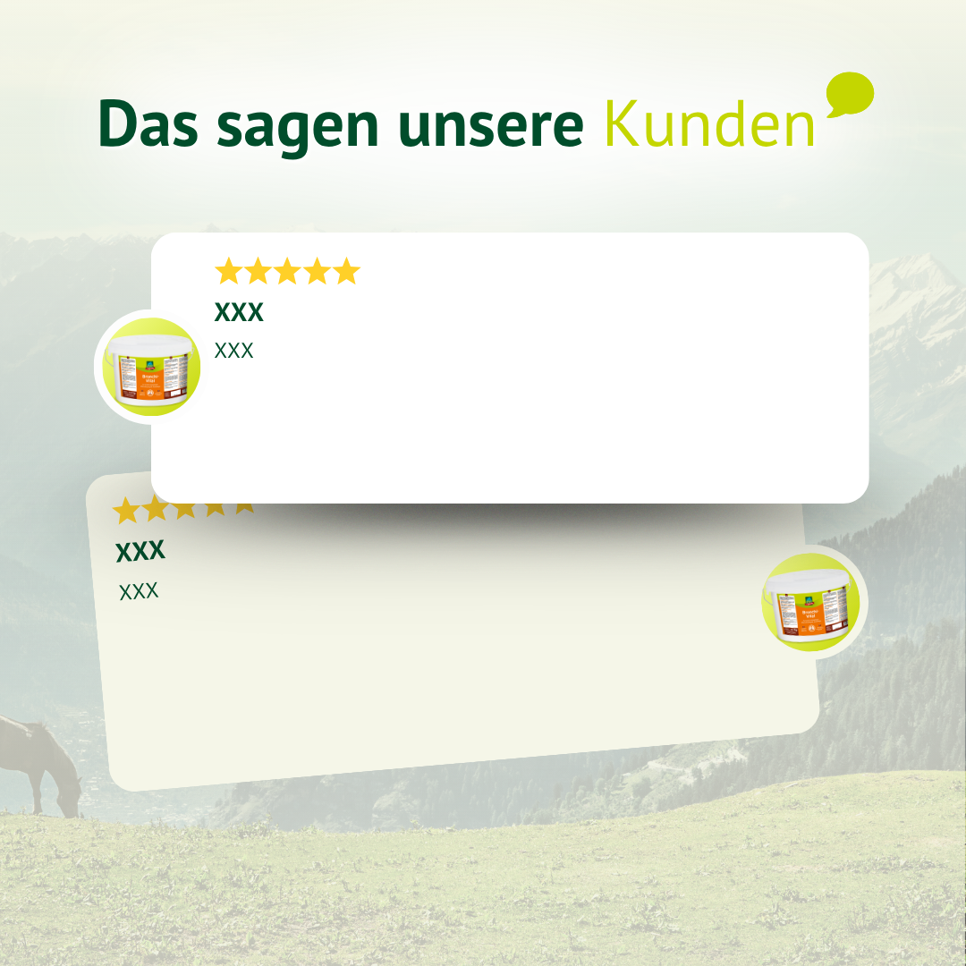 Pferd in Bewegung mit verbesserter Leistungsfähigkeit durch unterstützte Atemwege