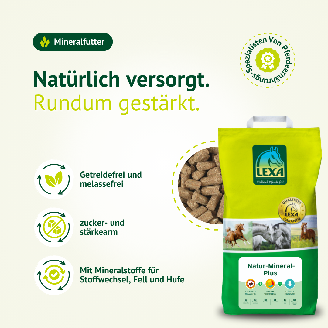 Natürliches Mineralfutter für Pferde – getreidefrei, melassefrei und reich an Mineralstoffen für Fell, Hufe und Stoffwechsel