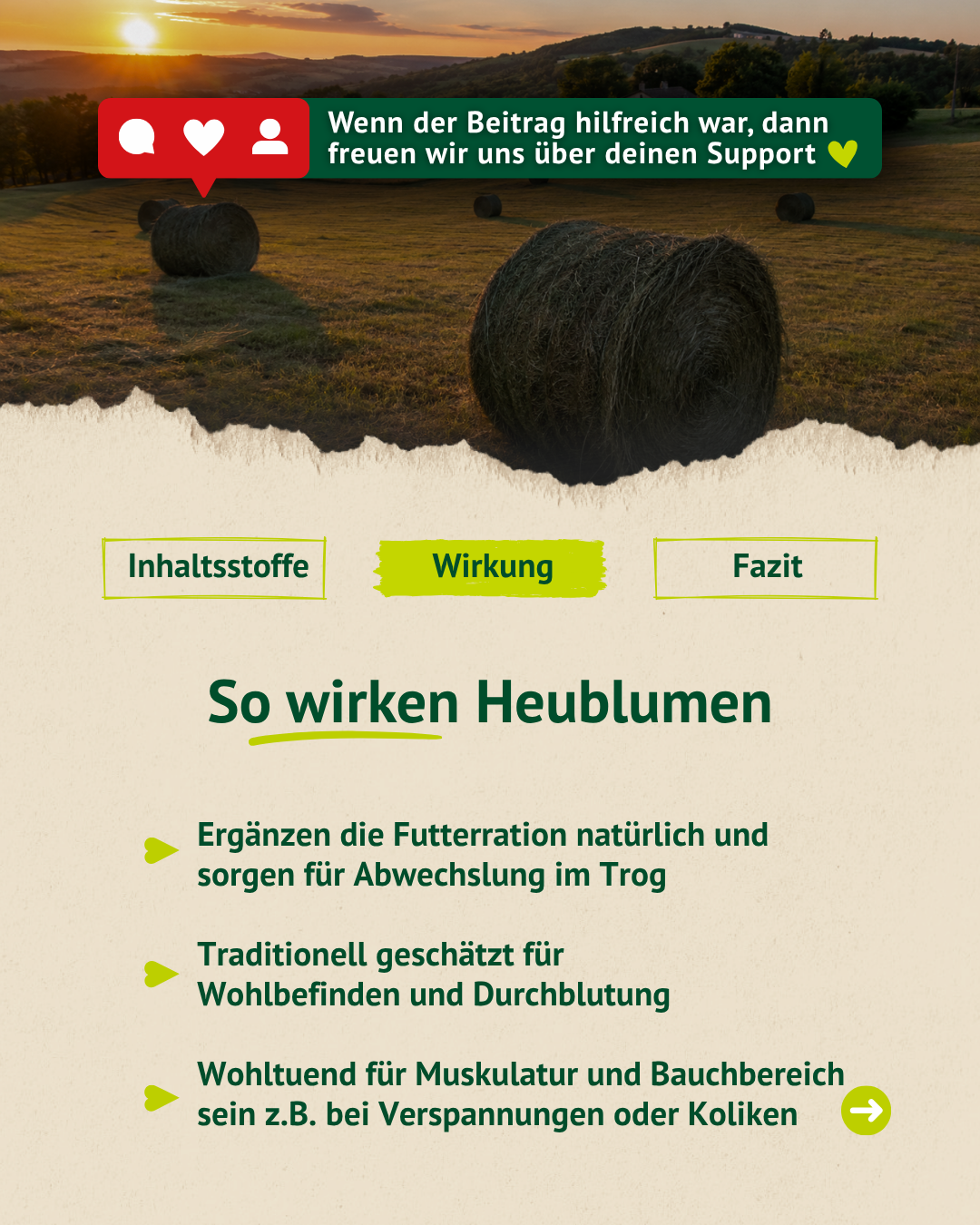 Sonnenuntergang über einer Heuwiese mit Rundballen und Infografik zur Wirkung von Heublumen auf Futterration, Wohlbefinden, Muskulatur und Bauchbereich.