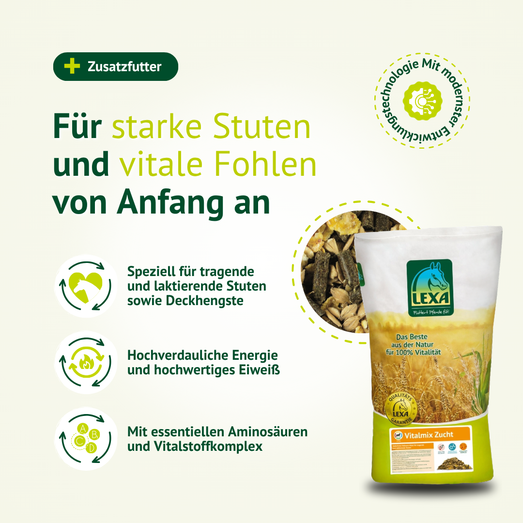 Zusatzfutter für tragende Stuten und Fohlen – Vitalmix Zucht mit hochwertigen Nährstoffen
