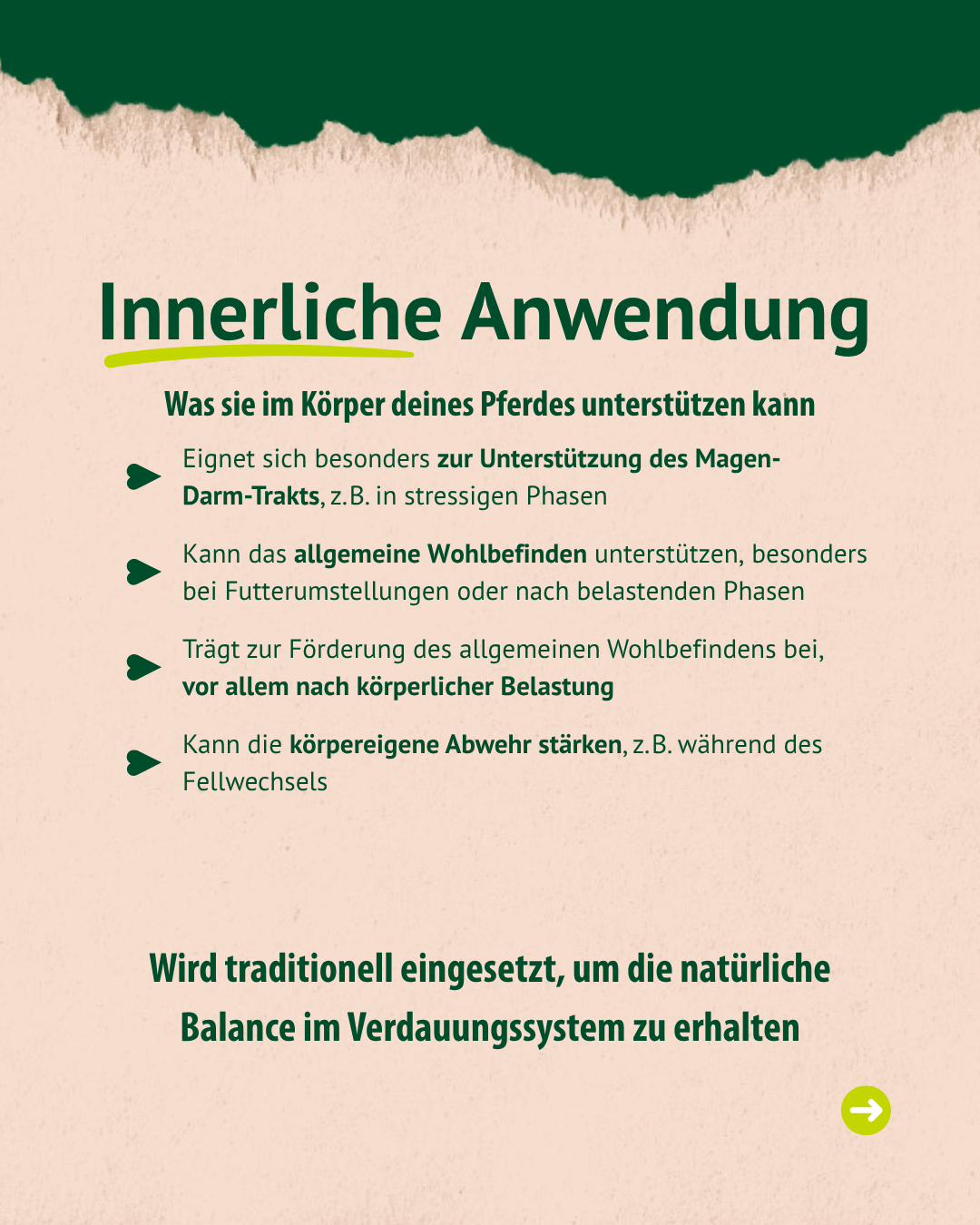 Beschreibung der Anwendung der Ringelblume Beschreibung der Anwendung der Ringelblume