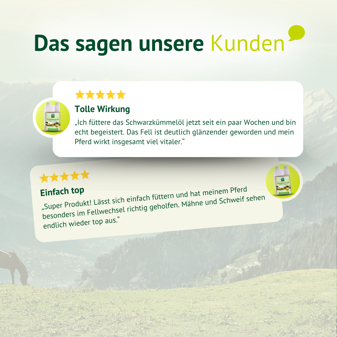 Kundenbewertungen Schwarzkümmelöl Pferd – bessere Fellqualität, mehr Vitalität und sichtbare Ergebnisse