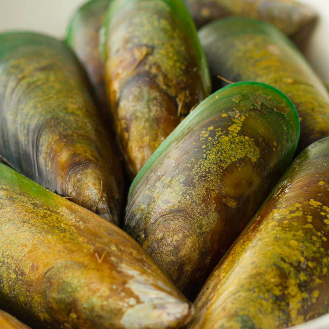 Groenlipmossel voor paarden