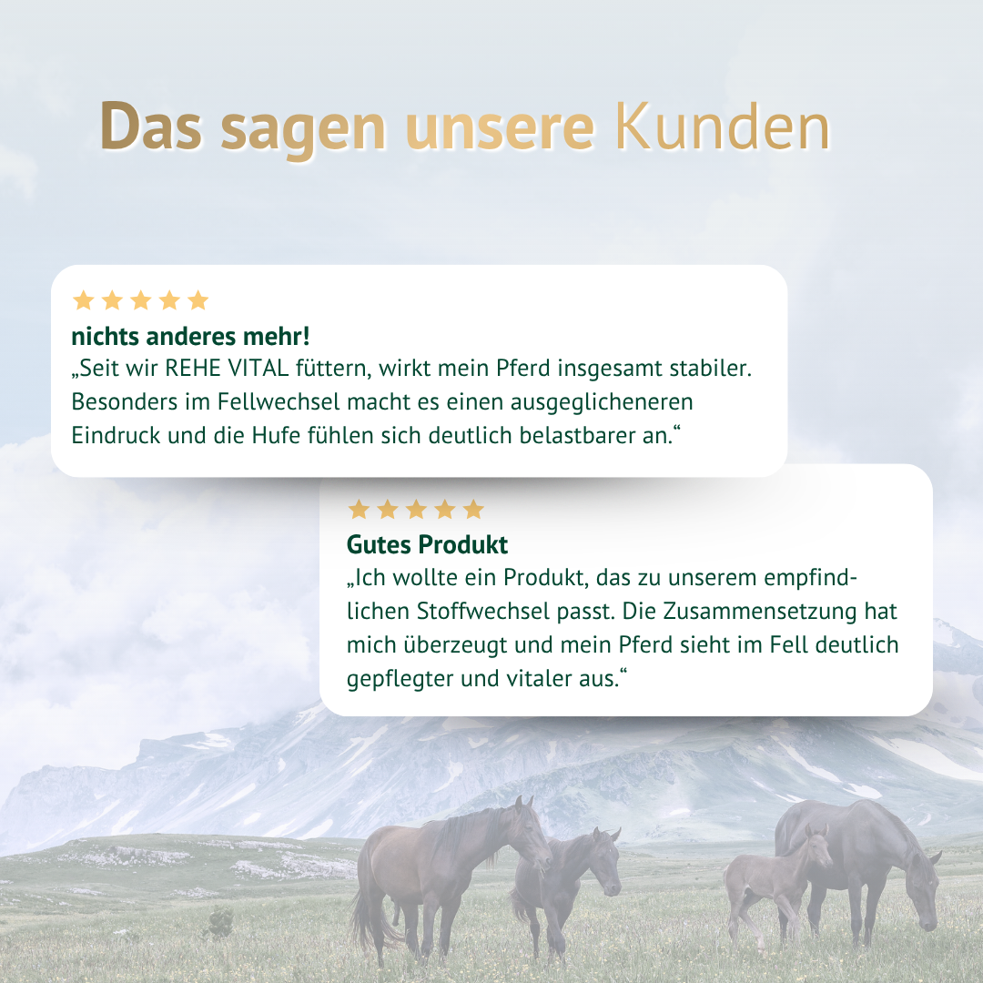 Kundenbewertungen zu Rehe-Vital Pferdefutter mit positiven Erfahrungen zu Fell und Hufen