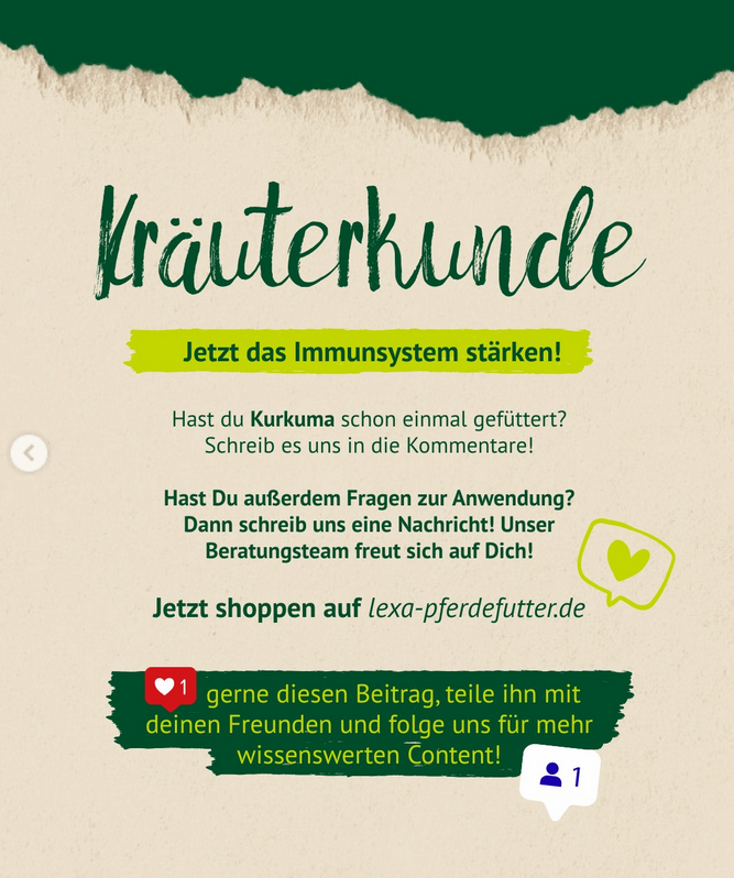 Jetzt das Immunsystem stärken!‘. Es wird dazu eingeladen, Erfahrungen in den Kommentaren zu teilen oder bei Fragen das Beratungsteam zu kontaktieren. Verweis auf den Onlineshop lexa-pferdefutter.de.