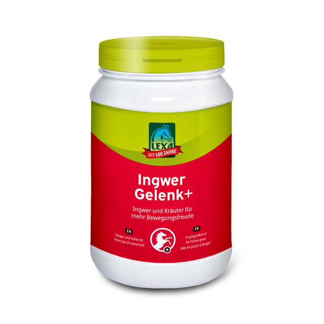 Ingwer Gelenk+