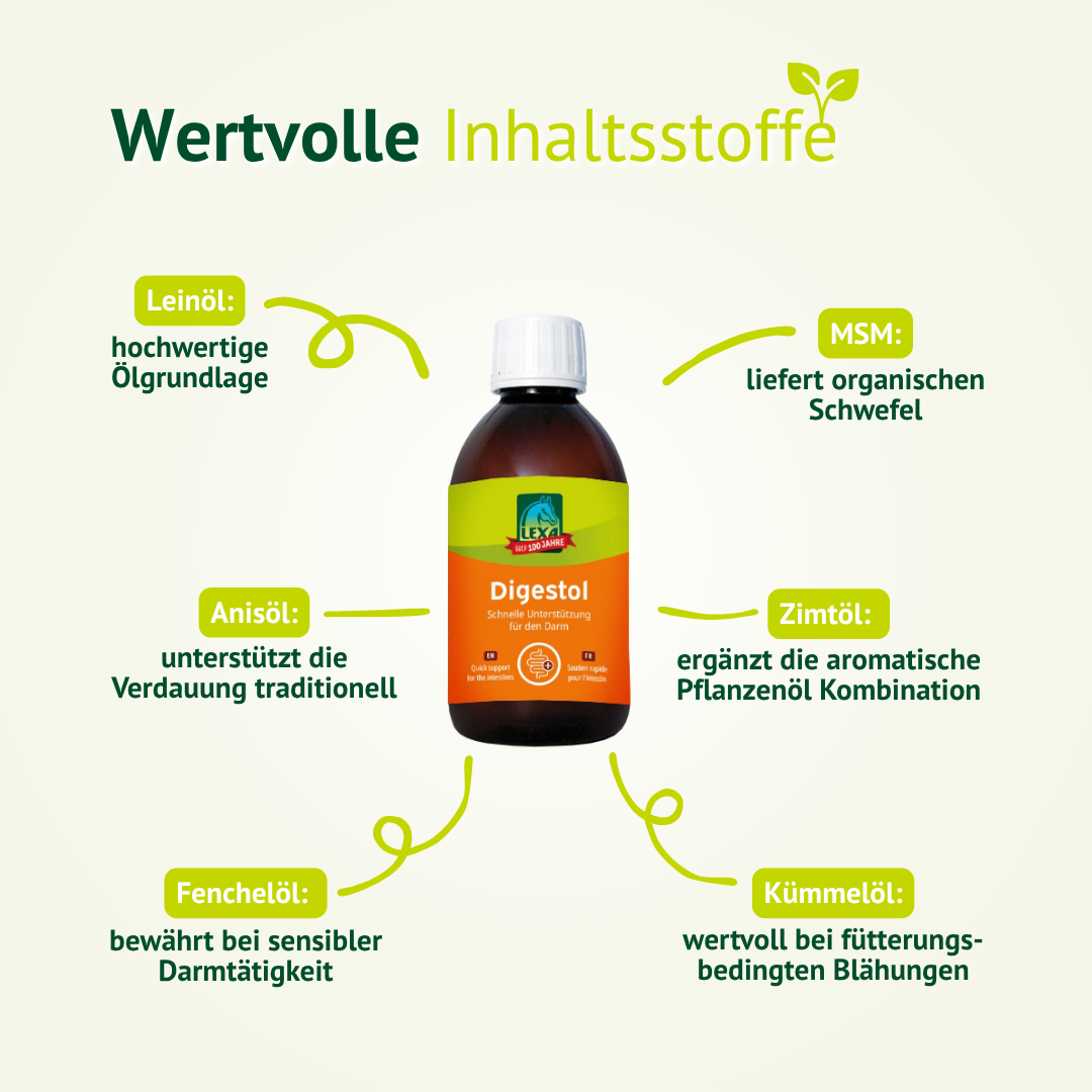 Wertvolle Inhaltsstoffe von LEXA Digestol wie Leinöl, Anisöl, Fenchelöl, Kümmelöl, Zimtöl und MSM für die Verdauung.
