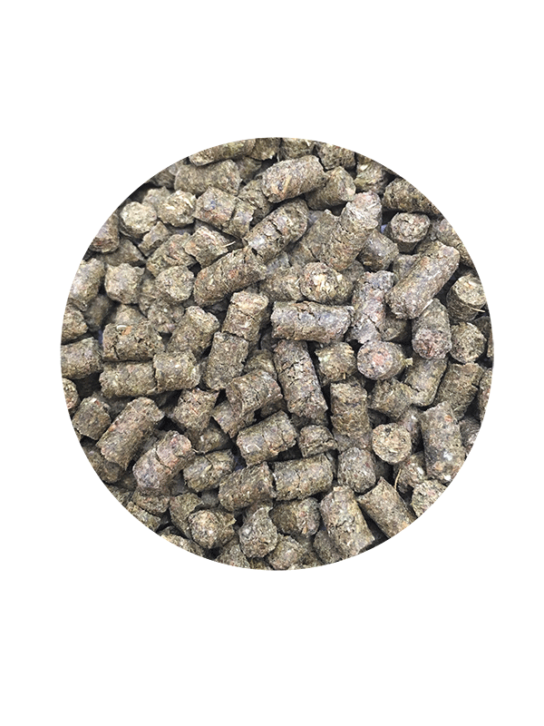 Pflanzenpellets Grüne Pellets aus pflanzlichem Material, gleichmäßig geformt und in einer runden Anordnung.