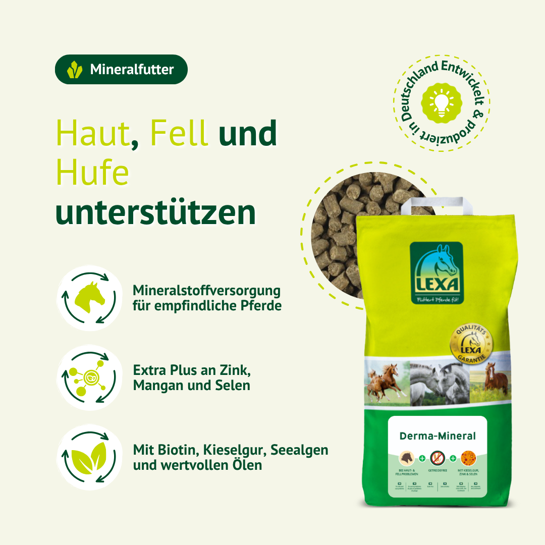 LEXA Derma-Mineral zur Unterstützung von Haut, Fell und Hufen bei Pferden